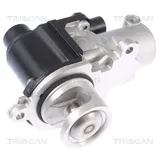 TRISCAN AGR-Ventil 8813 29338
