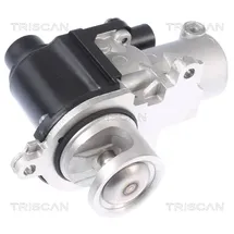 TRISCAN AGR-Ventil 8813 29338