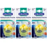 Dr. Beckmann Kühlschrank Frische Deo 3 St.