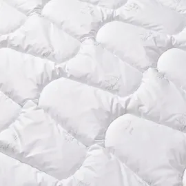 sei design heimtextilien inh. i. richter SWAN Sommer Faserbett Luxusklasse 155x220 - leichte Mikrofaser Bettdecke der - 150g/m2, - Weiß