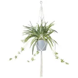 Homescapes - Künstliche Grünlilie mit Makramee-Hängeampel, 95 cm Hoch