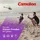 Camelion Ultra AA 2800 mAh 100 St.