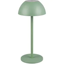 rl live your light Reality Leuchten LED Außen Akku Tischleuchte Ricardo R54106149, Kunststoff Pistaziengrün, inkl. 1.7 Watt LED, 4-fach Touch