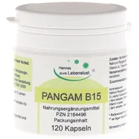 G & M Naturwaren Import GmbH & Co. KG Pangam Vitamin B15 Kapseln 120 St,