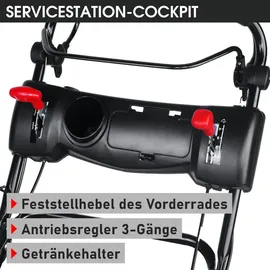 Brast 21224 Trike SPEED