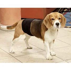 Karlie - Gentleman Wraps Schutzhose für Rüden - 40 x 10 cm