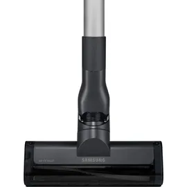 Samsung Jet 65 Pet VS15A60AGR5