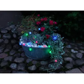 Star Trading Globini - Bunt