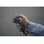 DJI RC Motion 3 Fernbedienung, Grau