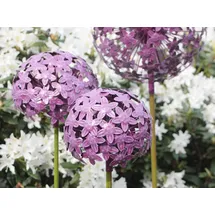 finehomegarden Gartenstecker Allium 16,2 x 16,2 x 111,2 cm Lila