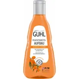 Guhl Feuchtigkeitsaufbau Shampoo 250 ml