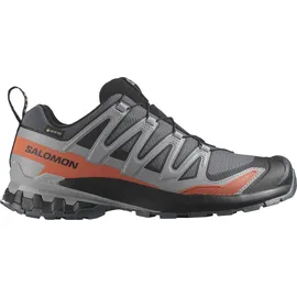 Salomon XA Pro 3D V9 GTX Herren Turbulence/Black/Burnt Ochre 42