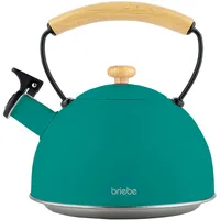 Briebe Nordic Wasserkessel Induktion Flötenkessel, Edelstahl Teekessel Retro Alle