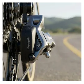 CAMPAGNOLO Akku für Schaltwerk Campa. SR WLS 12s PU23-SR12RD