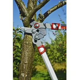 WOLF-Garten RS650 Basic Plus Astschere