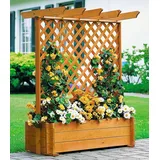 Promadino Rankkasten mit Pergola 102 x 65 cm Braun