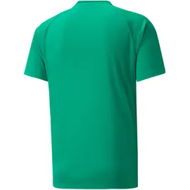 Puma Teamvision Jersey pepper green/power green/puma white 3XL