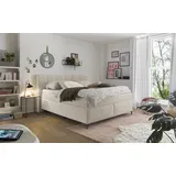 Set One by Musterring Boxspringbett Fairfield, Metallfuß schwarz, Kopfteil mit Keder, Breite 160 oder 180 cm beige 184 cm x 218 cm