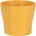11 Curcuma