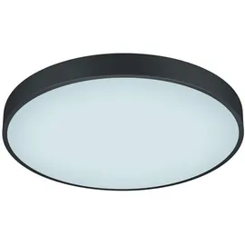 Trio Lighting Trio Leuchten Led-Deckenleuchte Waco, schwarz, mit Dimmer Ø49cm / Treppenhaus Eingangsbereich