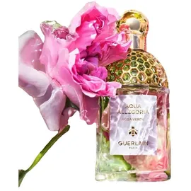Guerlain Aqua Allegoria Rosa Verde Eau de Toilette 75 ml