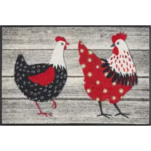 Wash+Dry Fußmatte Chicken Farm bunt, innen und außen, waschbar