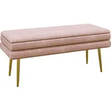 HOMCOM Sitzbank, Polsterbank mit Stauraum, Samtoptik, Bettbank mit Stahlbeine, Schuhbank, Aufbewahrungsbank für Wohnzimmer, Schlafzimmer, Rosa, 100 x 37,5 x 42 cm   Aosom