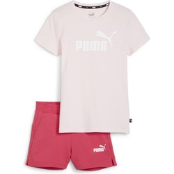 Puma, Fanartikel