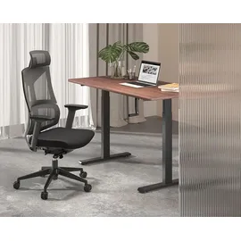 Logilink EO0048 - Manuell verstellbares Sitz-/Steh-Schreibtischgestell, 2-facher Teleskopauszug