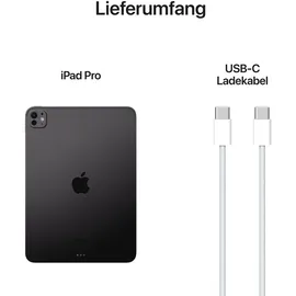 Apple iPad Pro M5 2025 11" Wi-Fi 256 GB Standardglas Space Schwarz