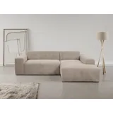 werk2 Ecksofa »Zeus-L modern und zeitlos, Breite 253cm, bequemes Sofa«, Curvy Trend Ecksofa mit urbaner Optik, grau
