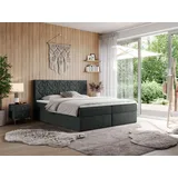 MKS Meble Boxspringbett 160x200 mit Matratze H4 und Bettkasten, Doppelbett Bett mit Stauraum und Topper, Polsterbett 160x200 mit Kopfteil - Leila -... - Dunkelgrau