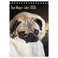 Calvendo Das Mops-Jahr 2026 (Tischkalender 2026 DIN A5 hoch),