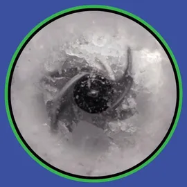 Ninja Detect Power Mixer Pro TB201EU Standmixer Silber