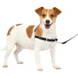 PetSafe Easy Walk S, Schwarz