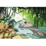 KOMAR Fototapete Jungle book swimming with Baloo 368 x 254 cm