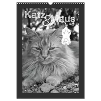 Calvendo Katz & Maus (Wandkalender 2026 DIN A3 hoch),