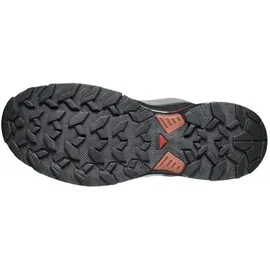Salomon X Ultra 360 GTX Herren Castlerock/Black/Silver Cloud 47