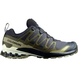 Salomon Herren XA Pro 3D V9 GTX Schuhe (Größe 45 , schwarz)