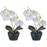 BLOSMON Orchideen Künstlich Blumen im Topf: 2 Stück Weiß Künstliche Orchidee im Vase (28cm) Kunstblumen wie echt Blume Pflanzen für Geschenk Zuhause Deko Büro Wohnzimmer Tischdeko Hochzeit Dekoration