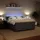 vidaXL Boxspringbett 180 x 200 cm Dunkelgrau