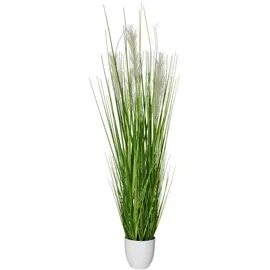 Vivanno Kunstpflanze Pampasgras künstliches Ziergras mit weißem Topf, 120 cm, Grün-Creme
