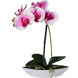 Orchidee weiß Kunststoff H: ca. 30 cm - weiß, lila