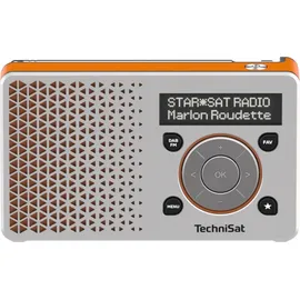 TechniSat DigitRadio 1 silber/orange