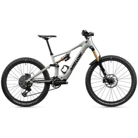 amflow PX Carbon Pro 29 Zoll RH 54 cm grau