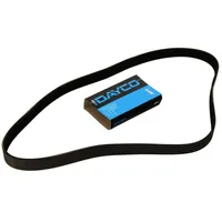 DAYCO Keilrippenriemen