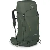 Osprey Kestrel 48 L/XL bonsai green