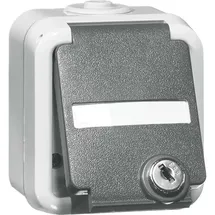 PEHA by Honeywell Schuko-Steckdose 1-fach Grau