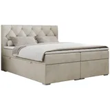 MKS Boxspringbett 160 x 200 cm H4 Beige