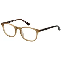 inspecs Superdry Brillengestell SDO-BRETTON 51103 beige